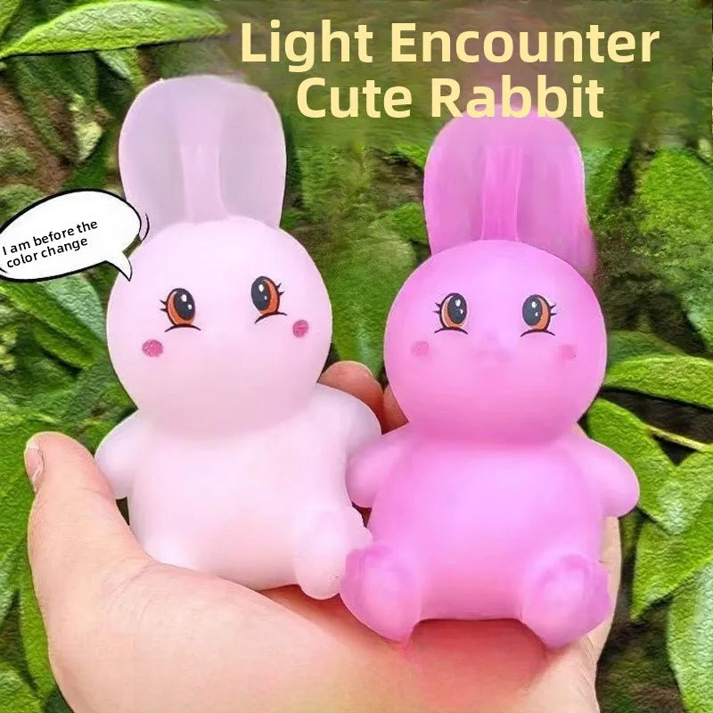 Ombre Rabbit Squishy