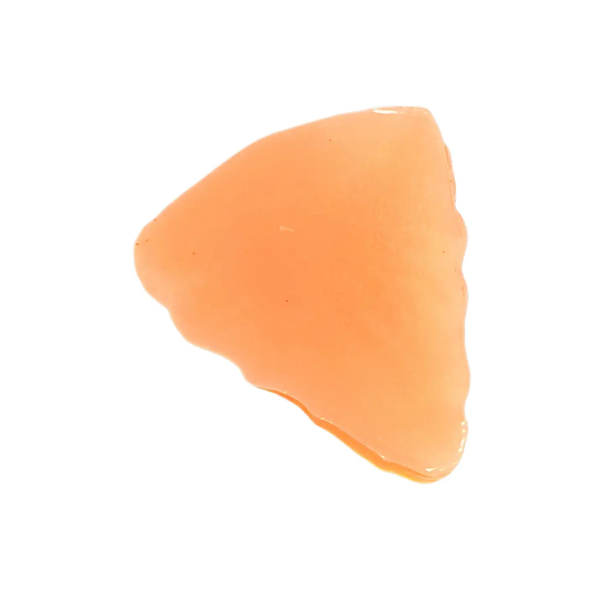 Pizza Jelly Squishy