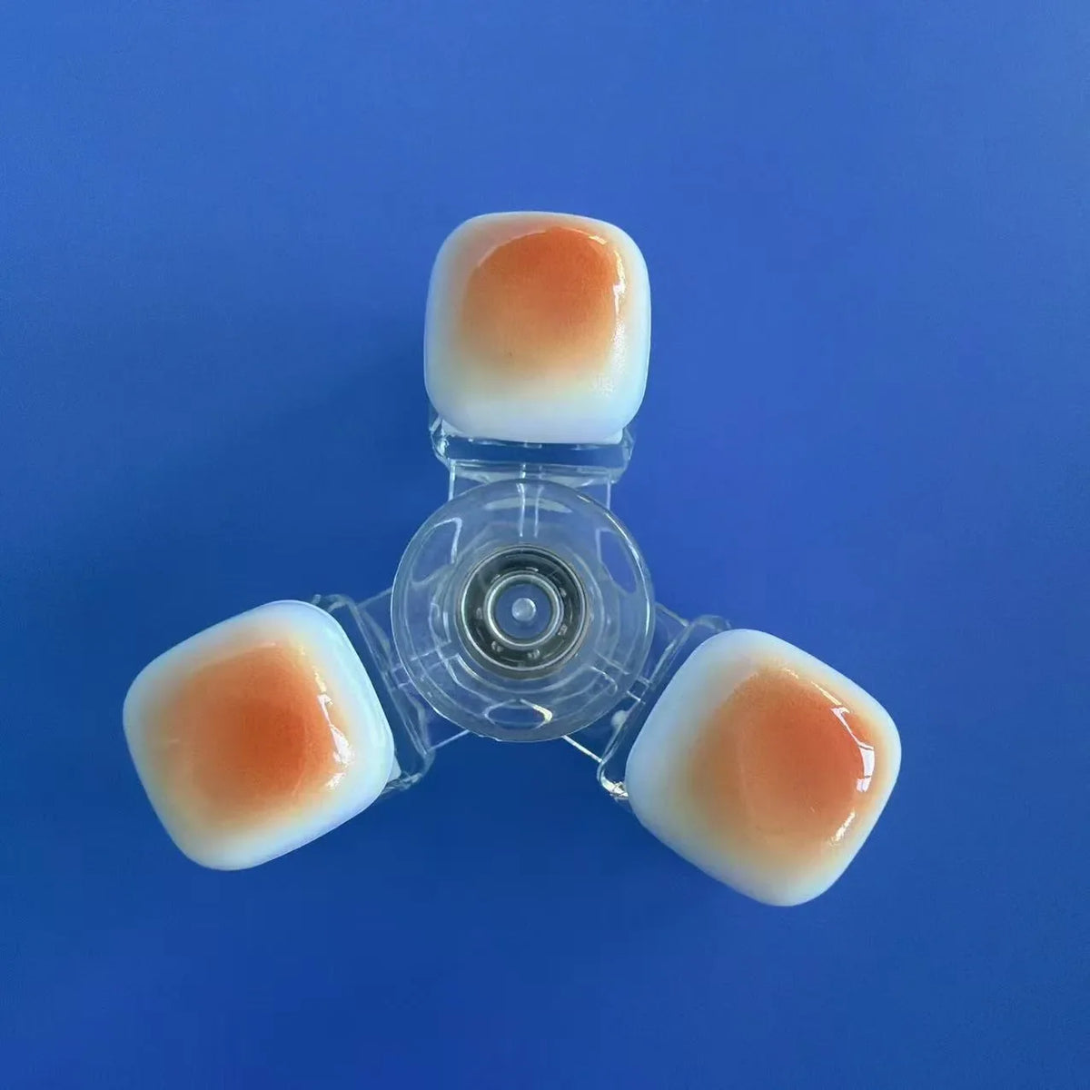 Cat Fidget Transparent Stress