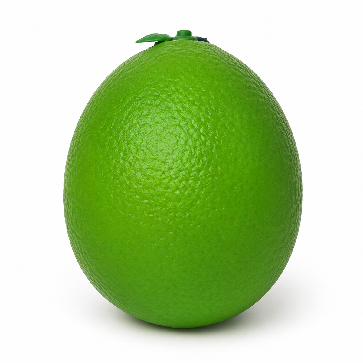 Giant Squishy Lime