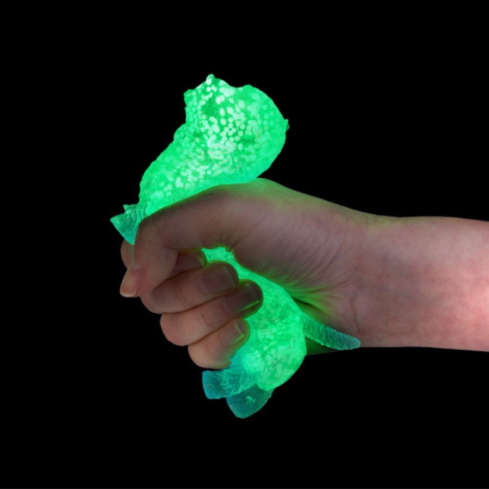 Glow - Terrier