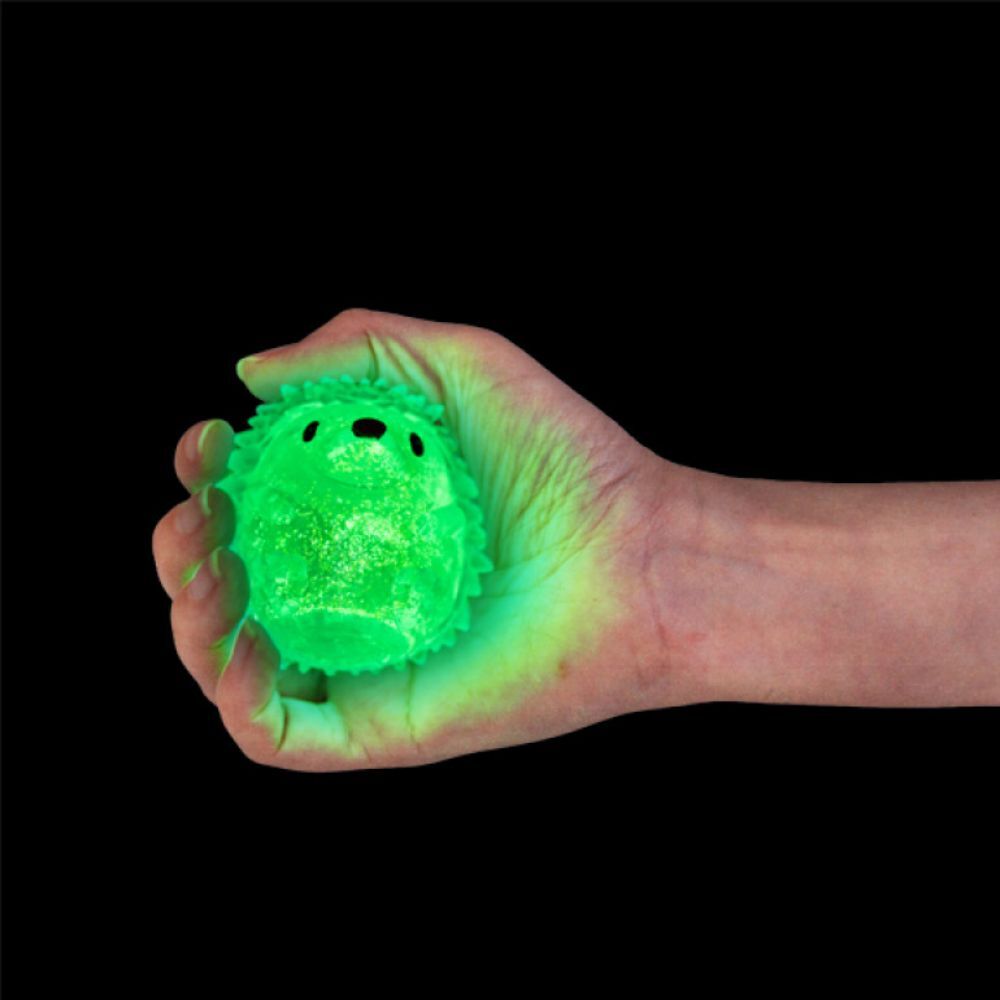Glow - Echidna