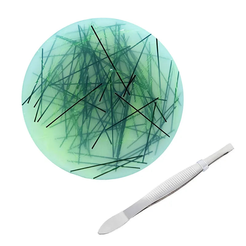 Ocean Pattern Fidget