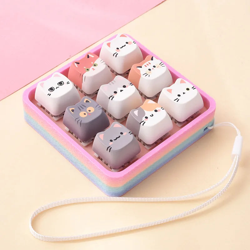 Rainbow Cat Squishy