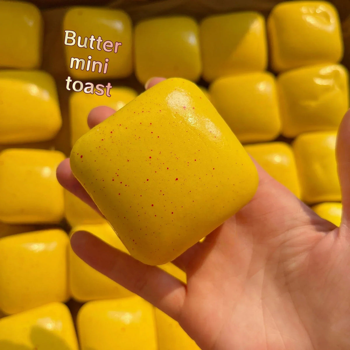 Mini Toast Squishy