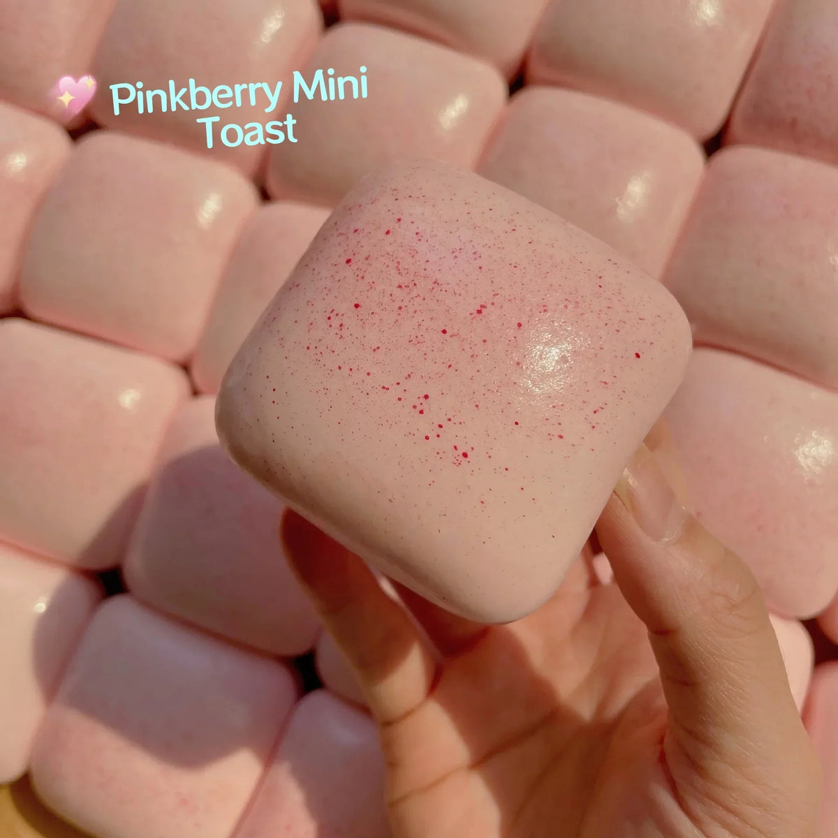 Mini Toast Squishy