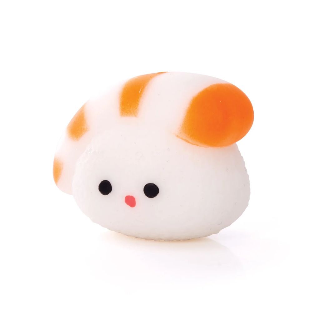 Sushi Squishy