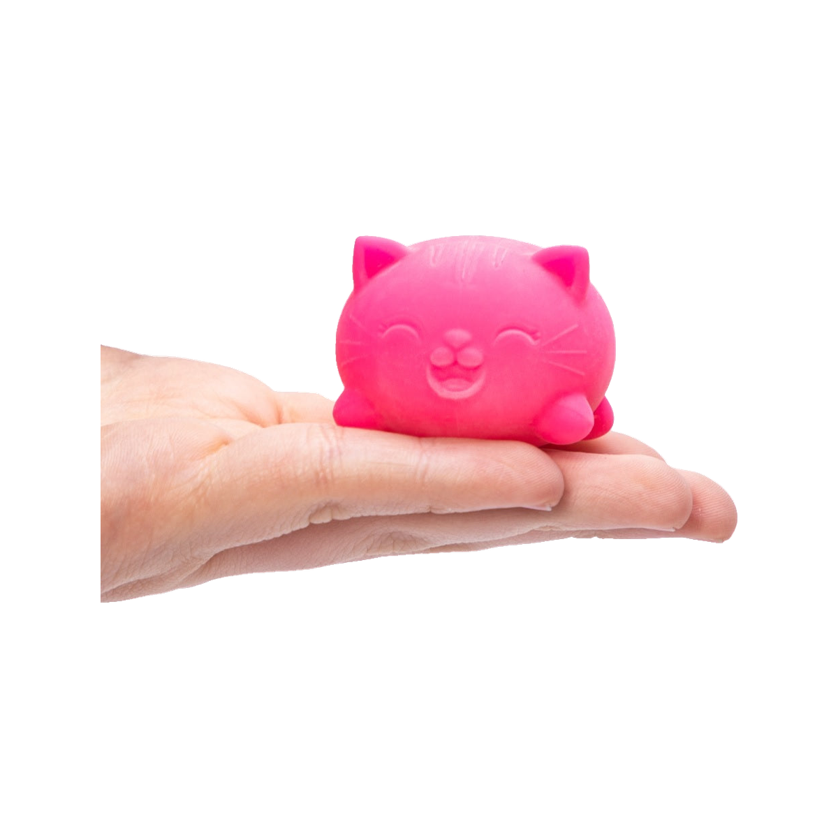 BOP MORE transparent hero | Teenie Cool Cats