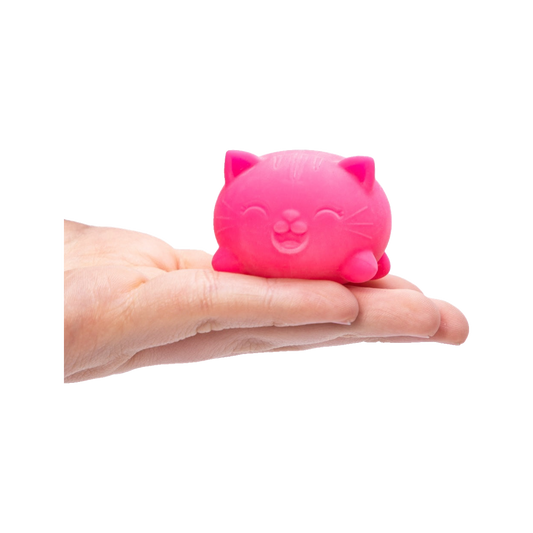 BOP MORE transparent hero | Teenie Cool Cats