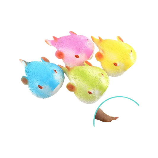 BOP MORE transparent hero | Dolphin Squishy