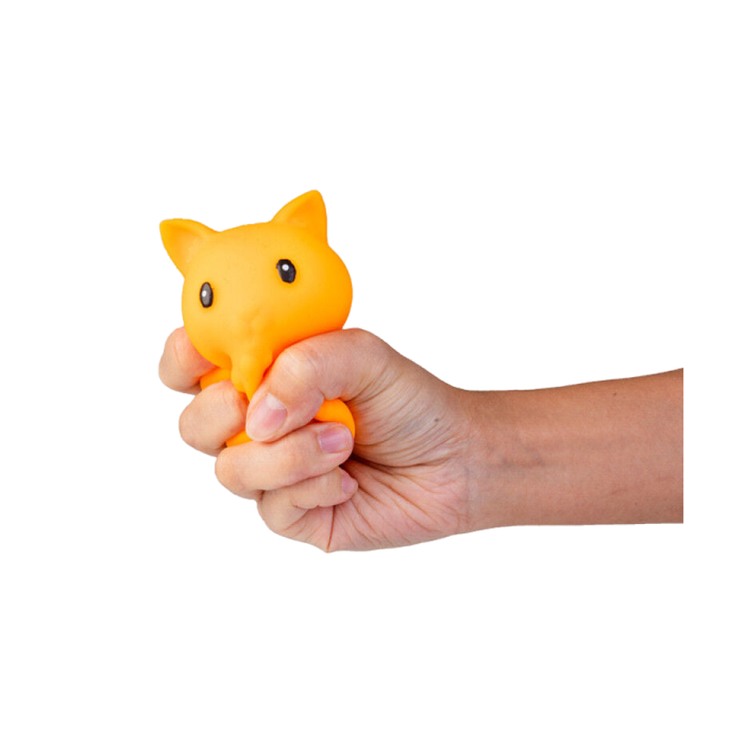 BOP MORE transparent primary | Crunchy Pets