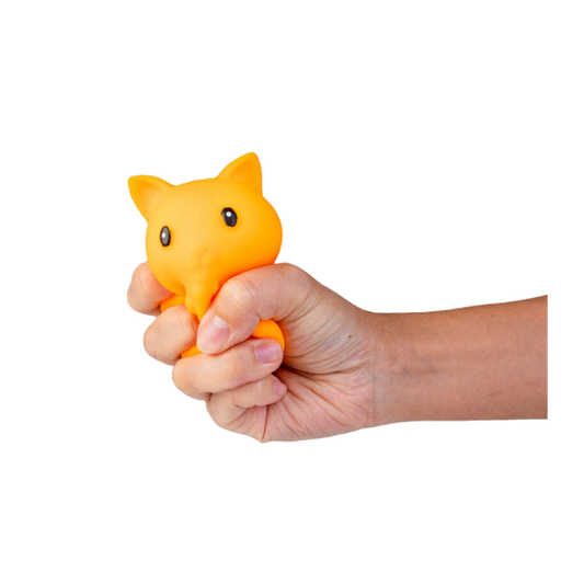 BOP MORE transparent primary | Crunchy Pets