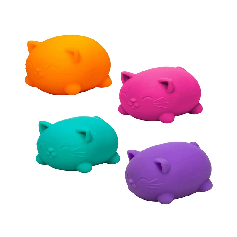 BOP MORE transparent primary | Cool Cats
