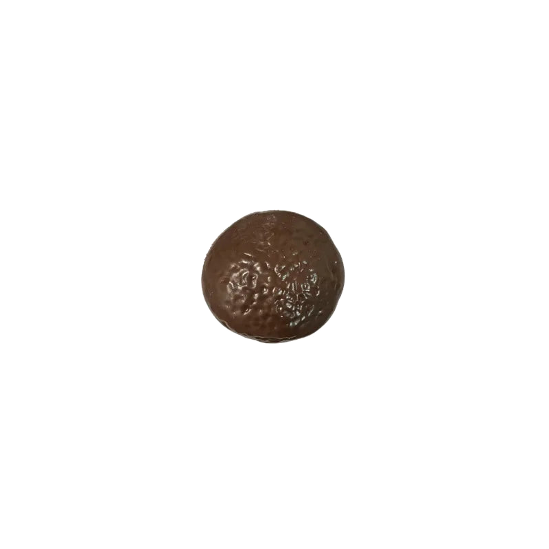 BOP MORE transparent primary | Chocolates Squishy Glue